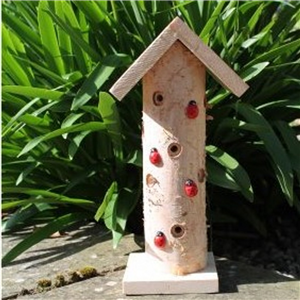 Greenkey - Ladybird House
